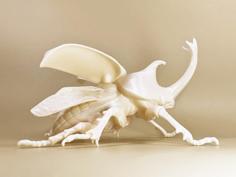 Rhino Beetle Lamp 3D Printer Model