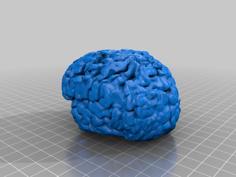 My Brain 3D Printer Model