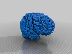 My Brain (Converted MRI Scan) 3D Printer Model