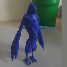 Kass (The Legend Of Zelda) 3D Printer Model