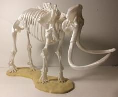 Woolly Mammoth Skeleton 3D Printer Model