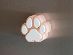 Magnetic Paw Box 3D Printer Model