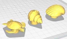 Seashell Ocean Life Drawer Pulls 3D Printer Model