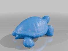 Turtle 3D Printer Model