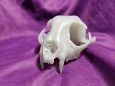 Real Bobcat Original Skull Scan, NextEngine 3D Printer Model