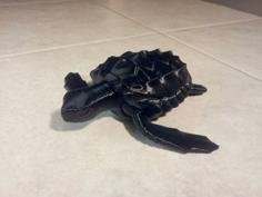 Loggerhead Sea Turtle (poseable) 3D Printer Model