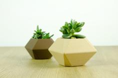 Low Poly Planter 3D Printer Model