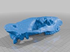 Oreodont Skull With Compression – High Res 3D Printer Model