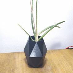 Hexagonal Flower Pot #5 3D Printer Model