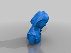 Rebeccar 3D Printer Model