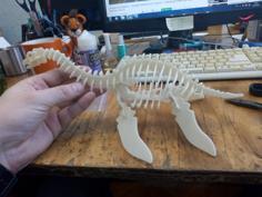 Plesiosaur_3d_puzzle 3D Printer Model