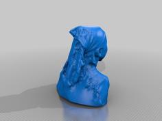 Danikaarnott 3D Printer Model