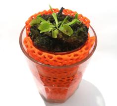 Voronoi Planter For Glass 3D Printer Model