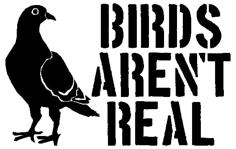 Birds Aren’t Real Stencil 3D Printer Model