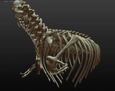 T-rex Skeleton 3D Printer Model