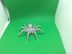 Spider 3D Printer Model