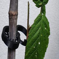 Super Awesome Plant Clip – With Teeth And Closeable 3D Printer Model