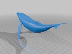 Blue Whale – LOW POLY 3D Printer Model