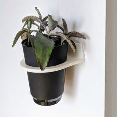 Wall Planter Holder 3D Printer Model