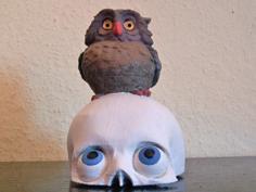 Peter And The Owl 3D Printer Model