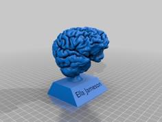 My Brain! 3D Printer Model