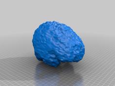 Brain 3D Printer Model