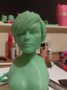 Printable Ball Jointed Doll 3D Printer Model