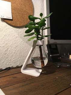 Light Bulb Vase 3D Printer Model