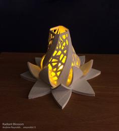 Radiant Blossom 3D Printer Model