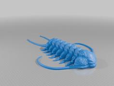 Trilobite: Cheirurus Ingricus 3D Printer Model