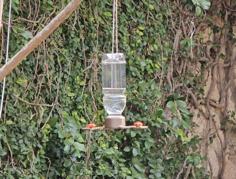 Hummingbird Feeder 3D Printer Model