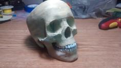 Supportless Candy Bowl Skull 3D Printer Model