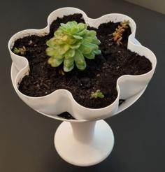 DECO PLANTER WITH DRAINAGE 3D Printer Model