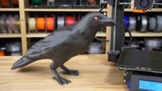 Halloween Crow With LED Eyes 3D Printer Model