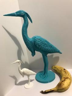 Great Blue Heron 3D Printer Model