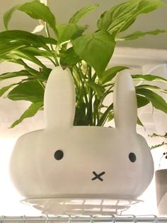 Miffy Flower Pot 3D Printer Model