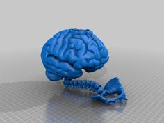 Brain Snail + Tea Light Holder 3D Printer Model