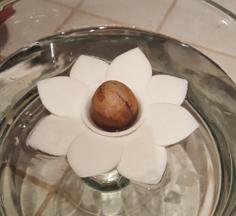 Avocado Flower Boat 3D Printer Model