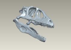 Real Scan Raptor Skull 3D Printer Model