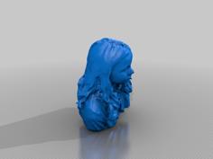 Mairimcbrian 3D Printer Model