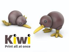 Kiwi 3D Printer Model