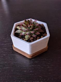 Hexagonal Planter Small 3D Printer Model