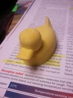 Rubber Duck 3D Printer Model