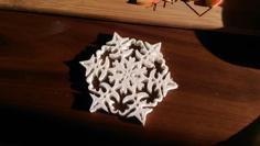 Snowflake Coaster 3D Printer Model