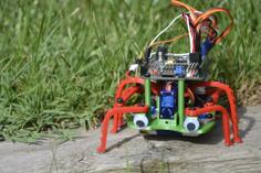 Doodle Robot-A Simple Hexapod Robot 3D Printer Model