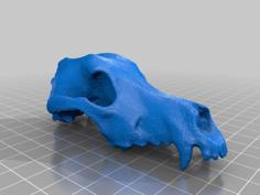 Lower Poly Dog Skull I’m Pretending Is A Space Wolf Skull For Warhammer 40k 3D Printer Model