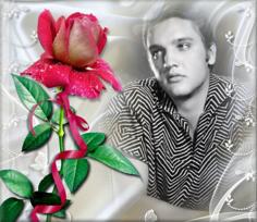 Elvis Lithophane With Rose 3D Printer Model