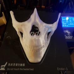 Higgs Mask (NO Support) Golden Mask 3D Printer Model