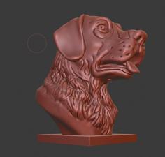 Labrador Retriever Bust (Dog Head) 3D Printer Model