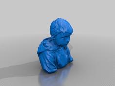 Logan Hurley Brown 3D Printer Model